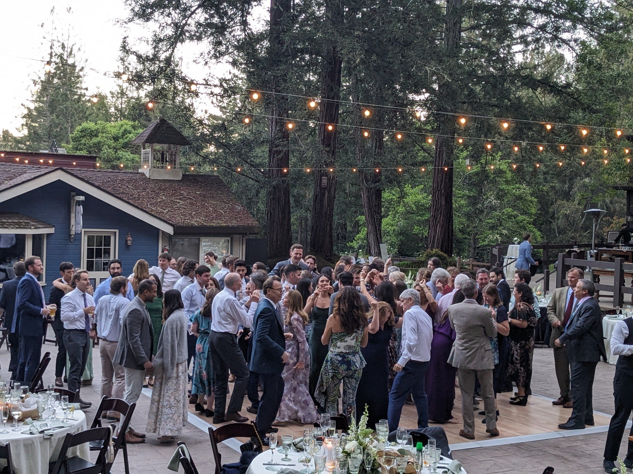Guests dancing outdoors beneath redwoods and string lights